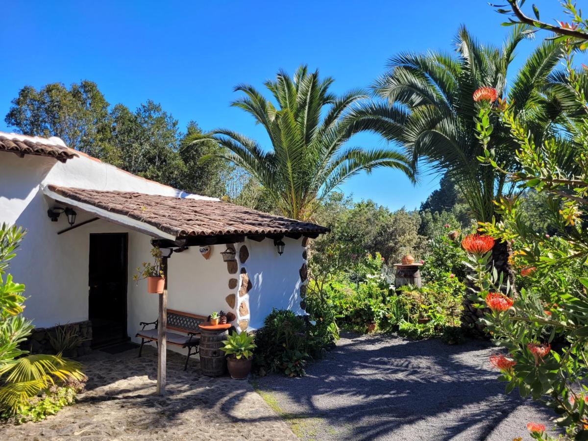 Finca Llano De La Cebolla Icod De Los Vinos Exterior foto